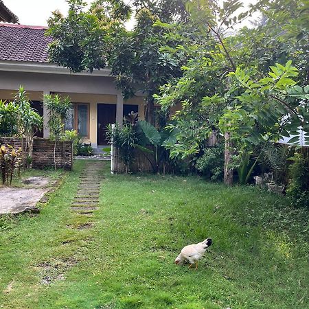 Honey Home Kuta  Zewnętrze zdjęcie