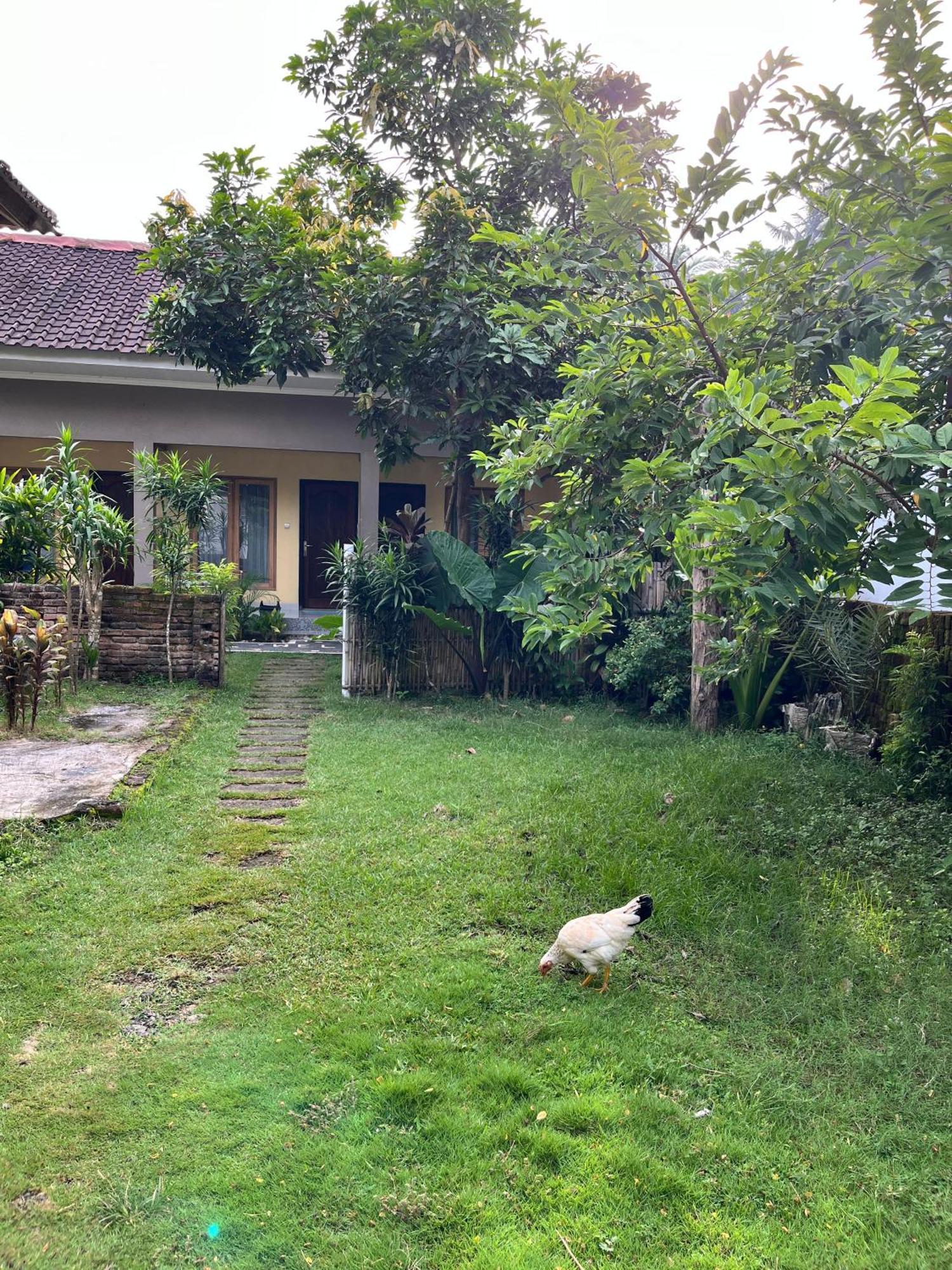 Honey Home Kuta  Zewnętrze zdjęcie